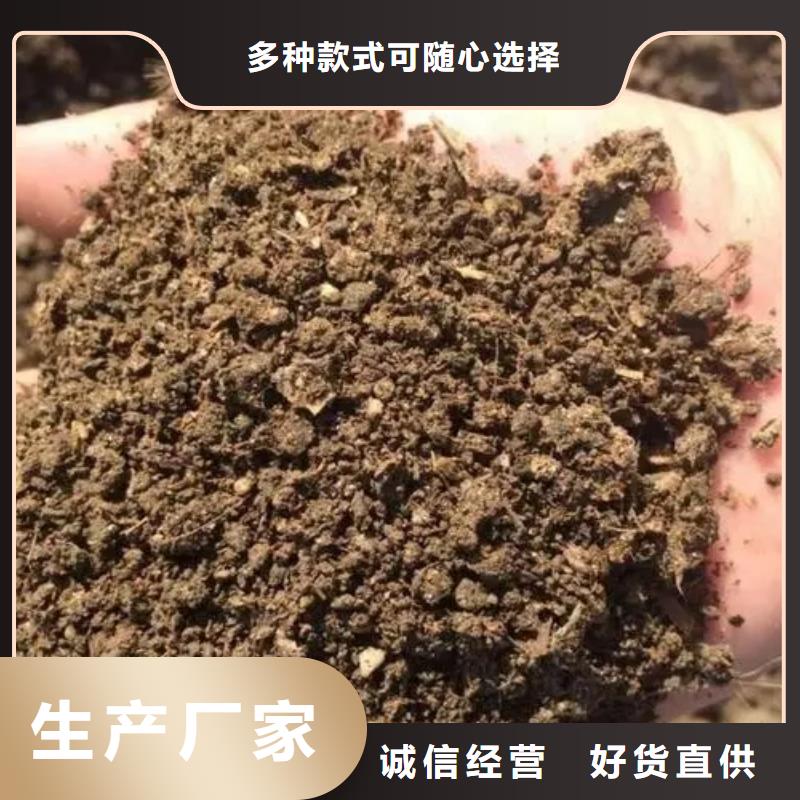 发酵羊粪底肥后劲足