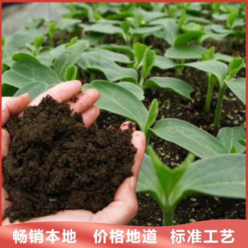 深圳市东门街道鸡粪改良土壤