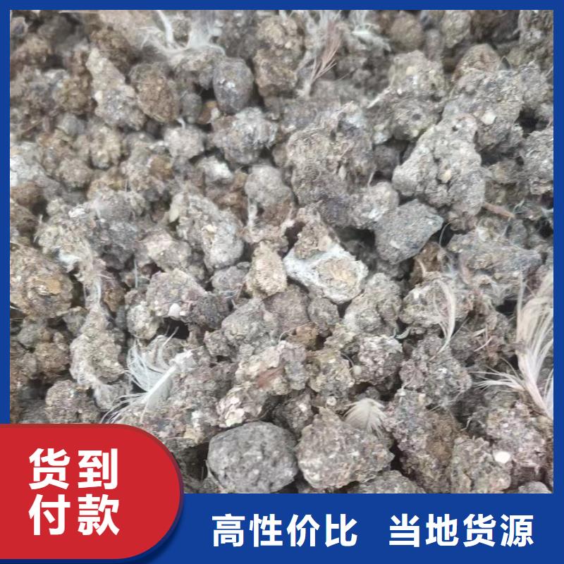 干鸡粪块促进秧苗光合作用