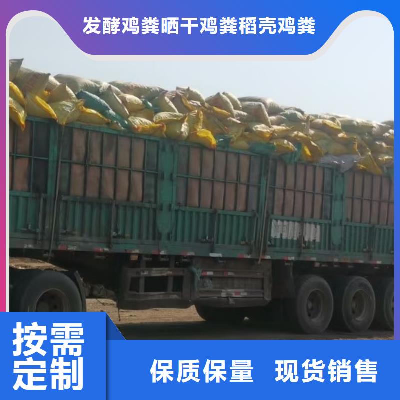发酵羊粪深入土壤