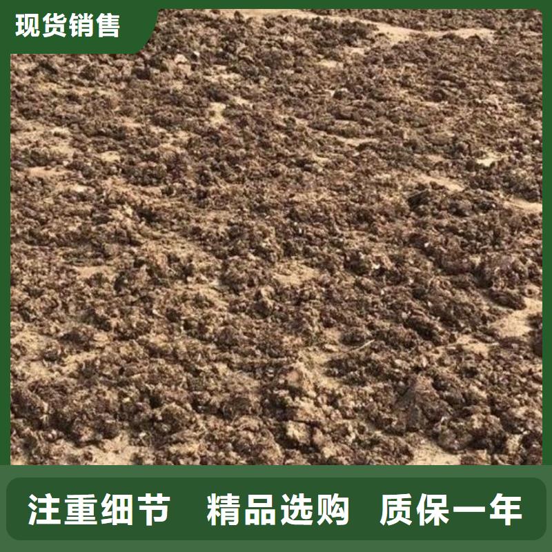 琼中县鸡粪有机肥厂家