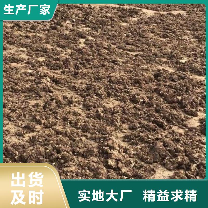 河北唐山灤南發(fā)酵雞糞保真