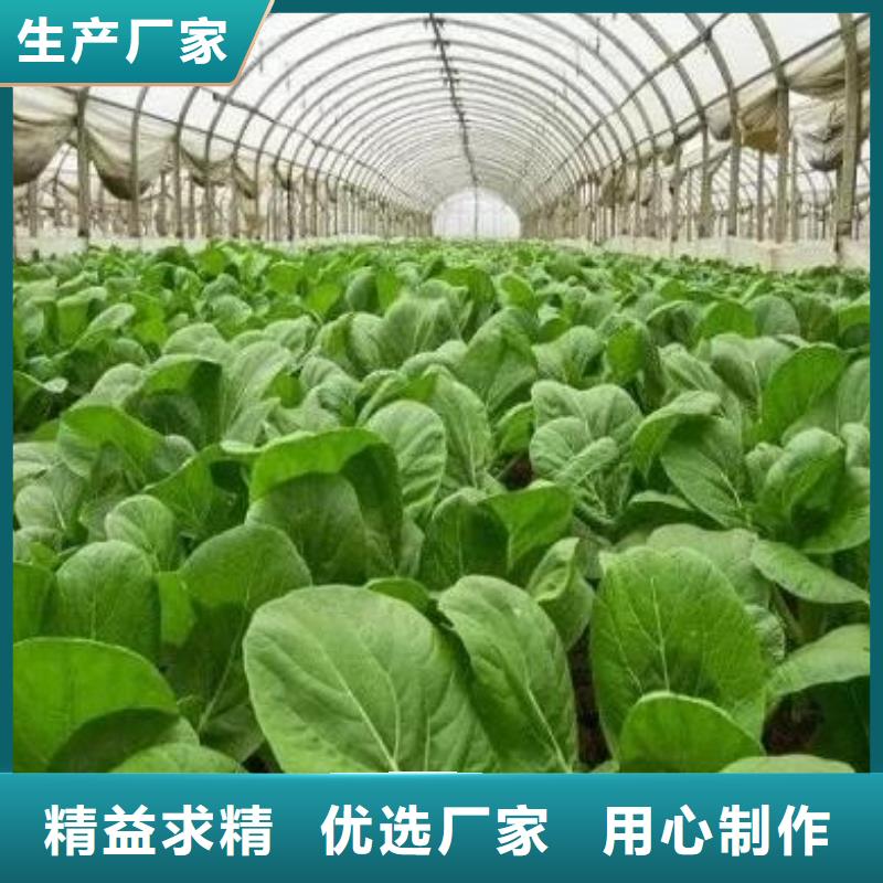 上海购买市发酵鸡粪增肥果园土壤