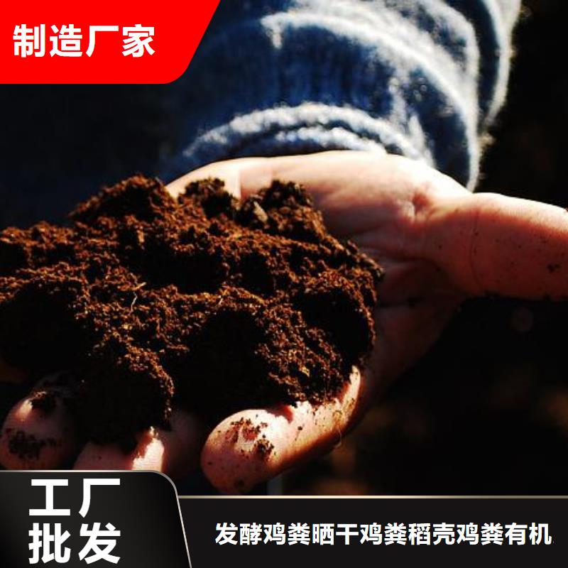 深圳市福永街道稻壳鸡粪改良土壤