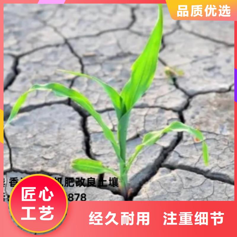 肥水鸡粪价格合适