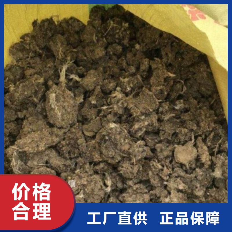 肥水鸡粪质量上乘