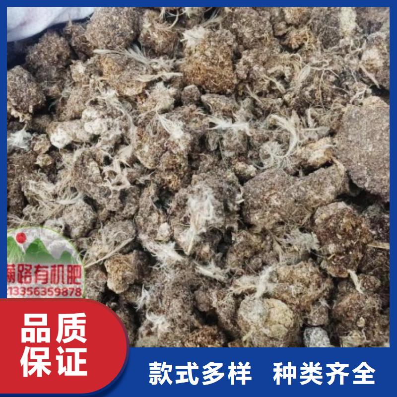 东莞万江街道发酵鸡粪肥沃农田