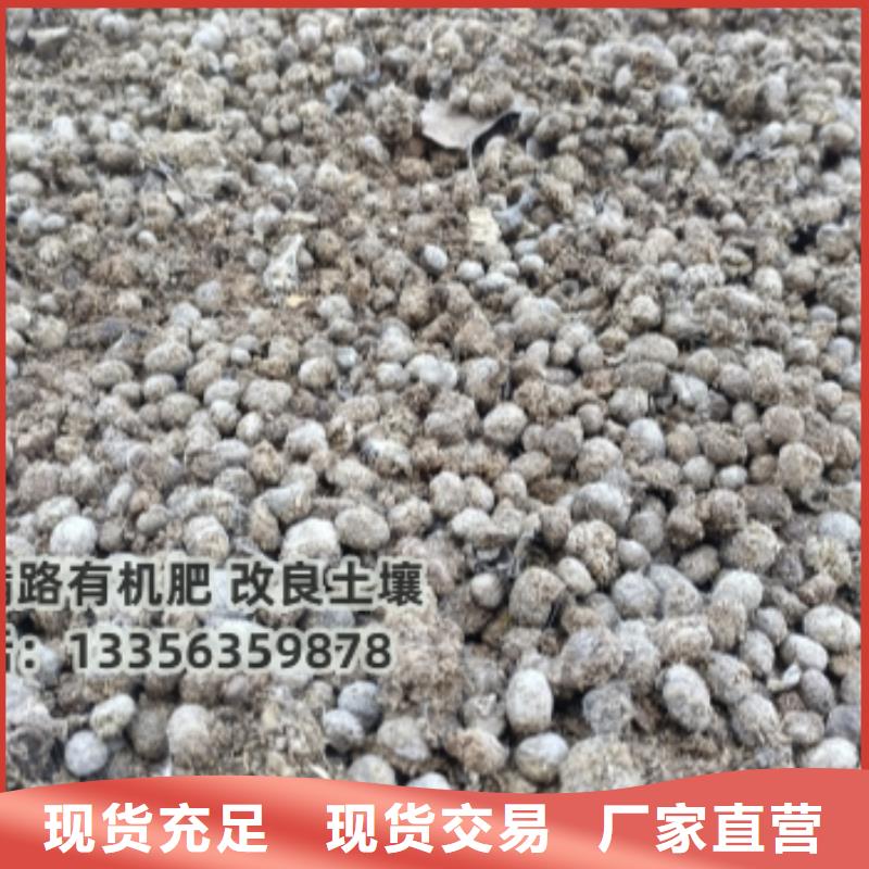 上海青島日照發酵雞糞果農知道怎么用