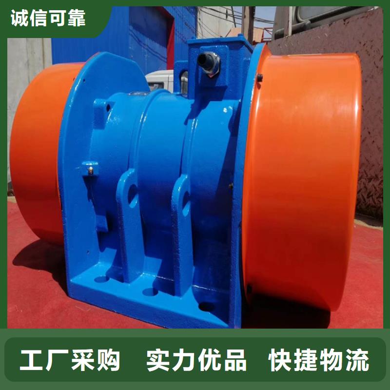 乐东县隔爆型振动电机破碎机专用振动电机安装