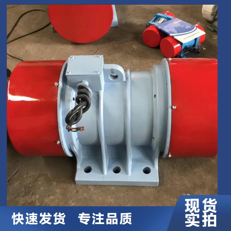 防爆型振动电机洪洞厂家价格