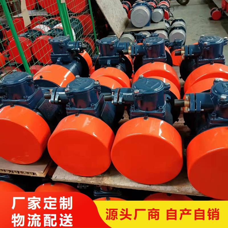 振动平台-三相异步振动电机价格不断创新
