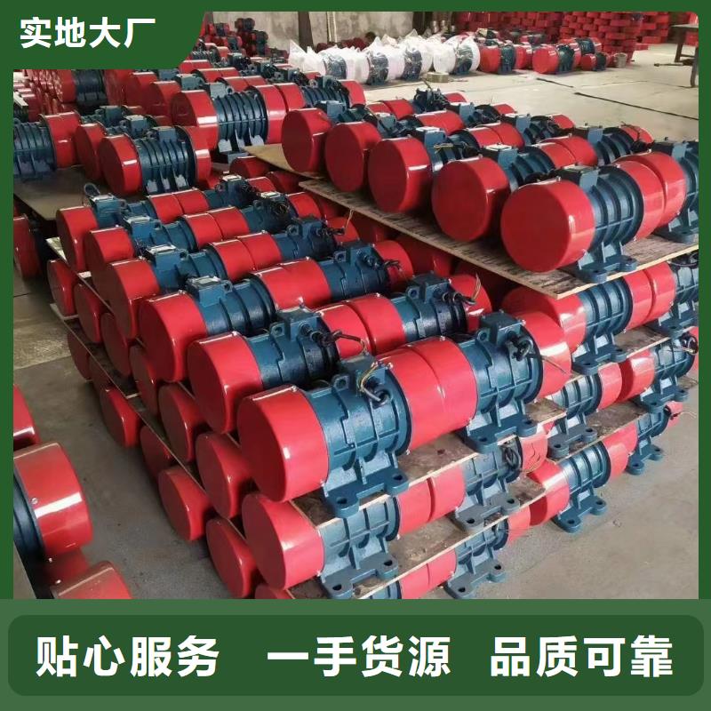 振動(dòng)平臺(tái)振動(dòng)電機(jī)批發(fā)送貨上門