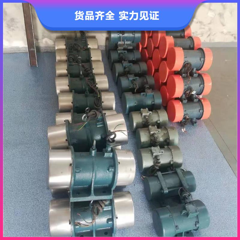 防爆振动电机高标准高品质