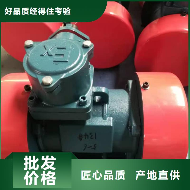 防爆振動電機品質做服務