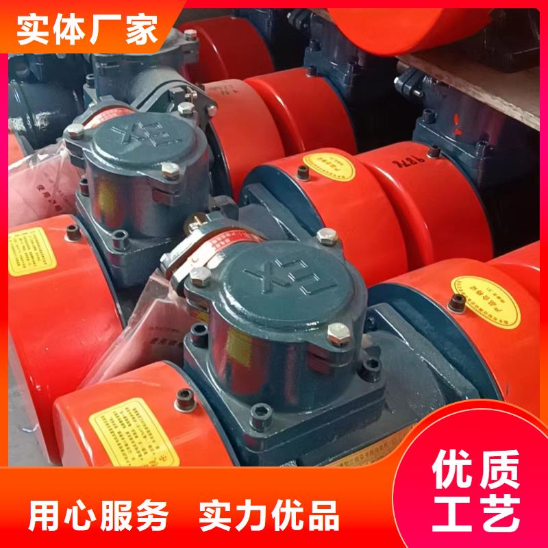 防爆振动电机,振动电机按需定做