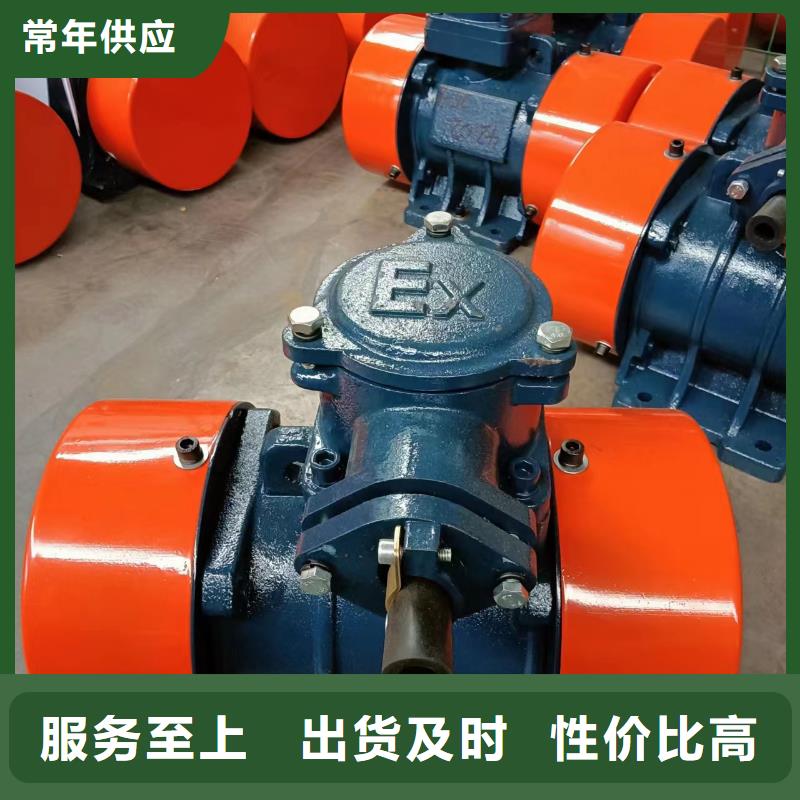 防爆振动电机,振动电机按需定做