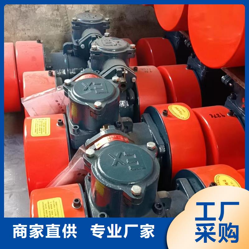防爆振动电机振动筛厂家支持加工定制