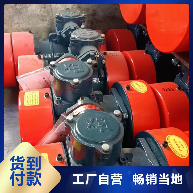防爆振動電機品質做服務
