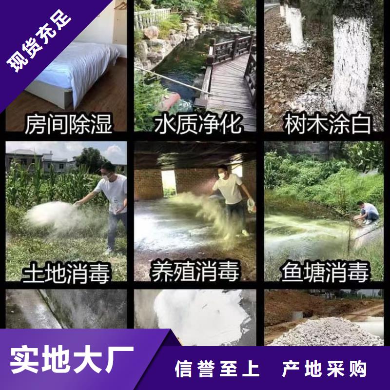 石灰污泥固化白灰满足您多种采购需求