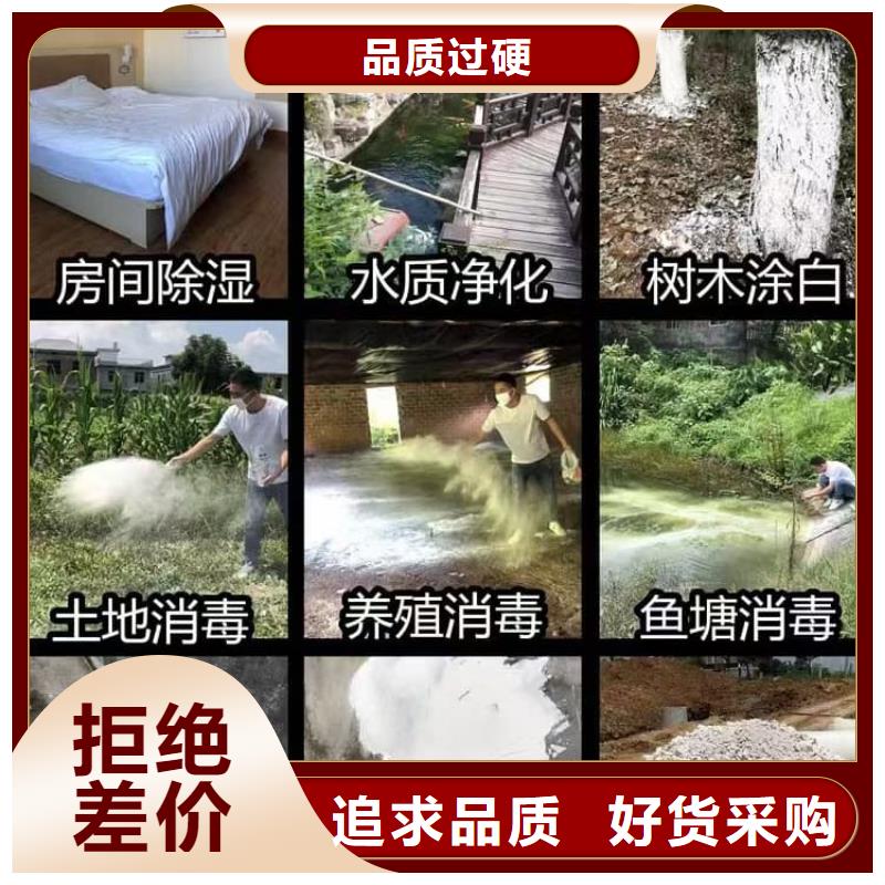石灰,农牧业消毒石灰好厂家有担当
