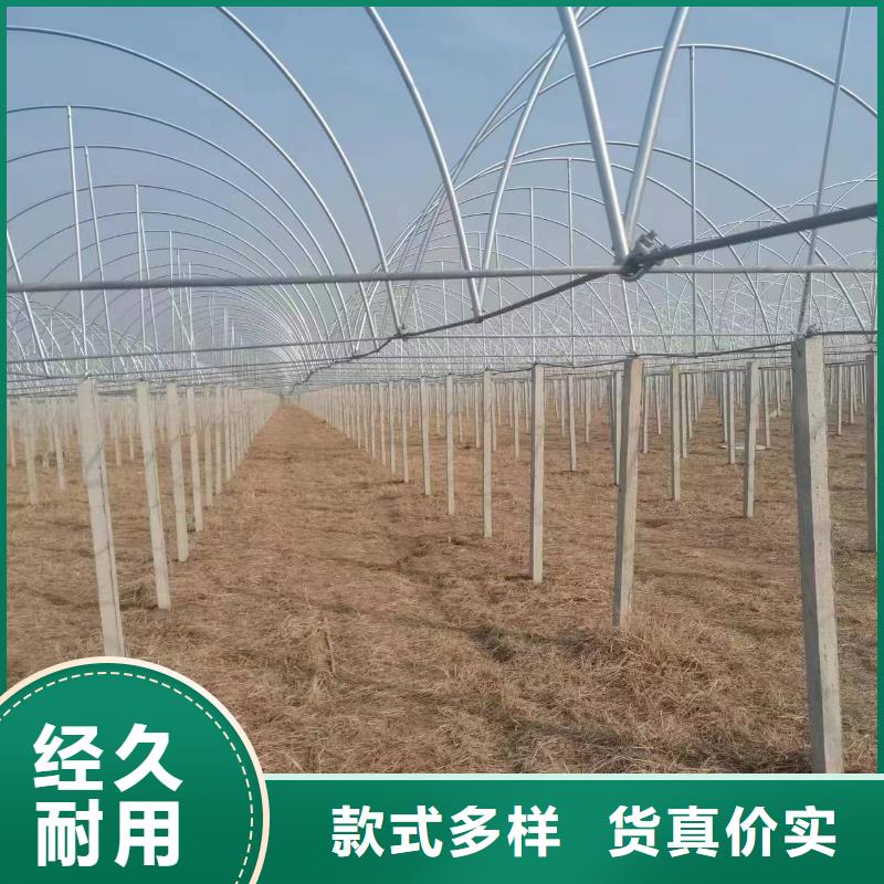温室大棚温室大棚水槽品质服务