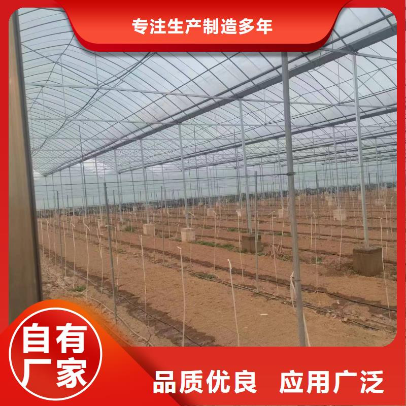 温室大棚大棚钢管价格实在