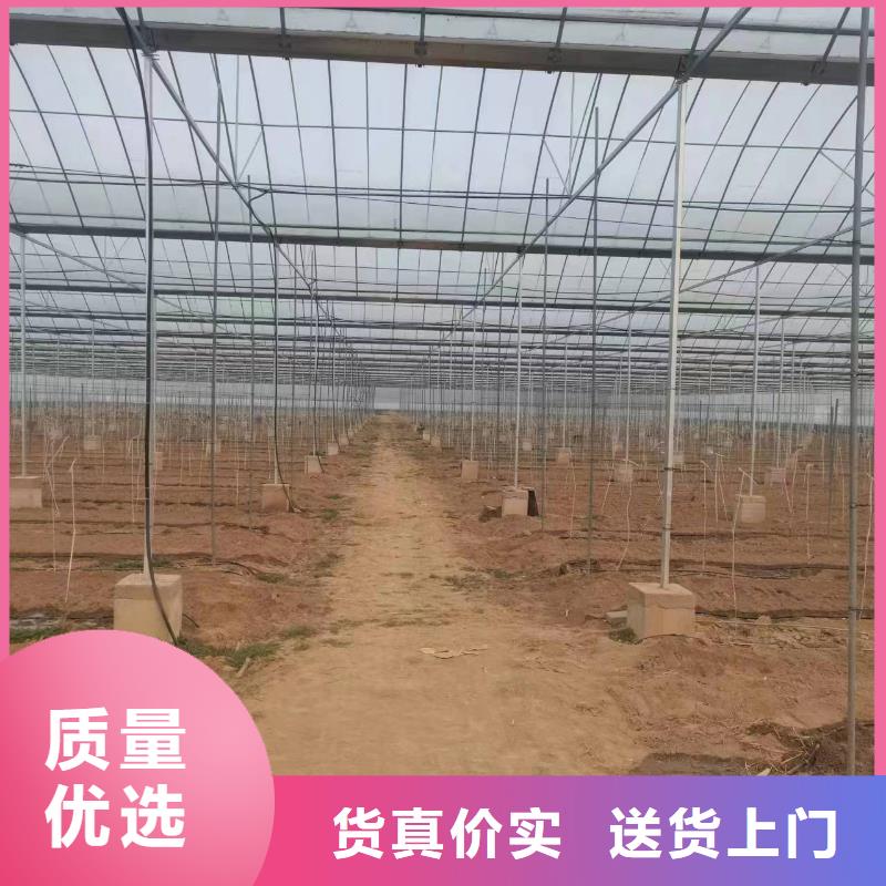 溫室大棚,太陽能光伏支架生產廠家工程施工案例