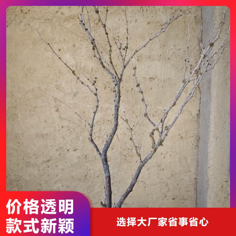 内外墙稻草漆，民宿改造，乡村建设，稻秸秆漆全包施工