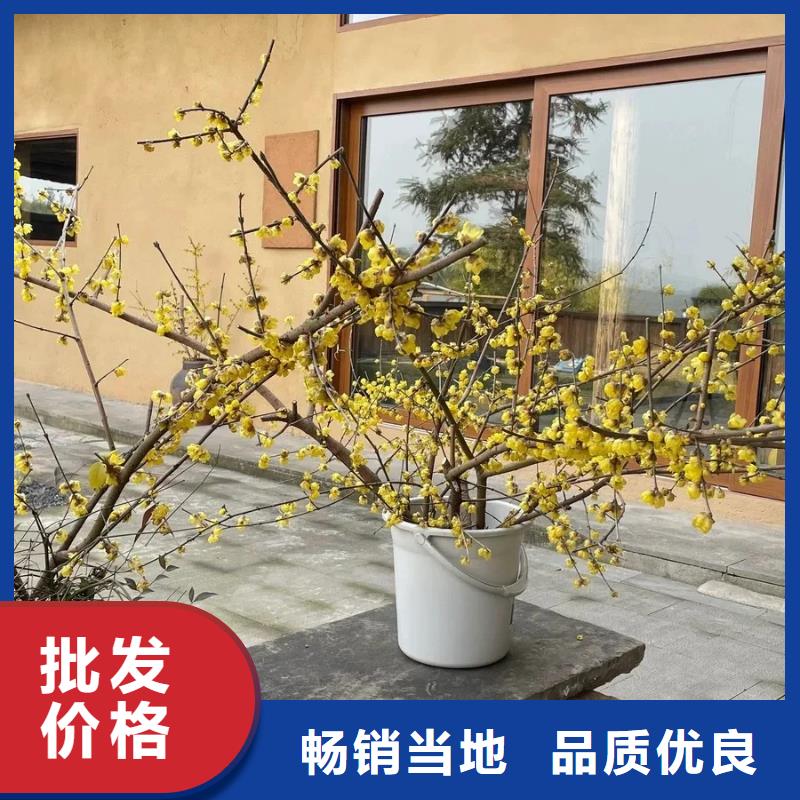 【工厂价格 稻草漆夯土软板好产品有口碑】-附近选择大厂家省事省心-产品资讯