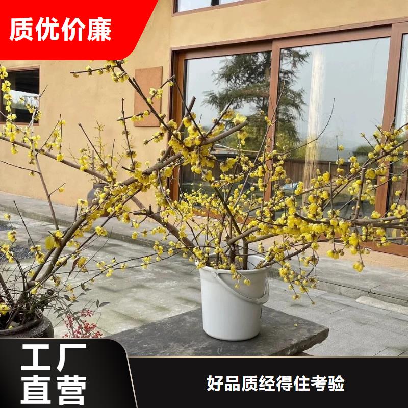 泥巴墙漆，老房翻新，民宿改造，稻秸秆漆施工厂家