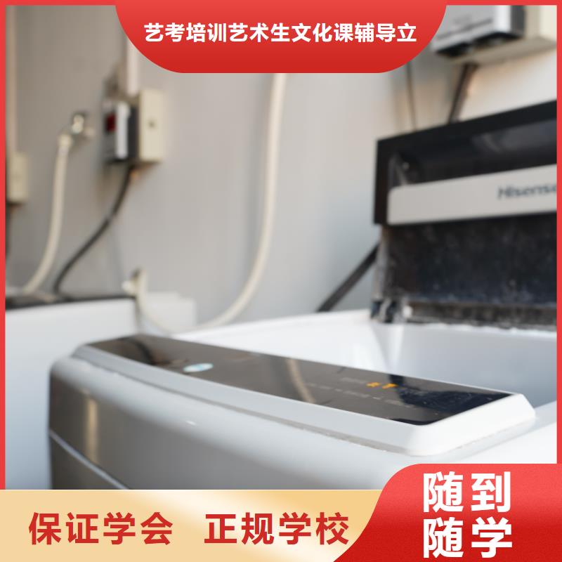 哪里有卖正规培训 山东艺考文化课就业前景好-本地厂家_供应案例