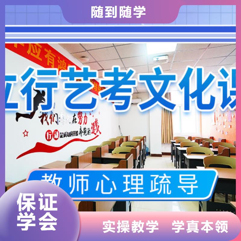 滨州艺考文化课理论+实操本地品牌