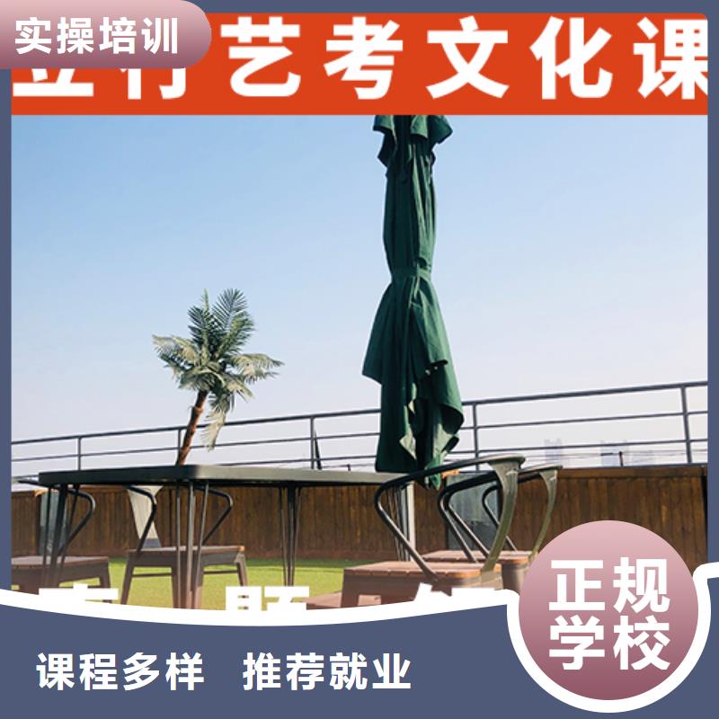 艺考文化课辅导音乐艺考培训理论+实操