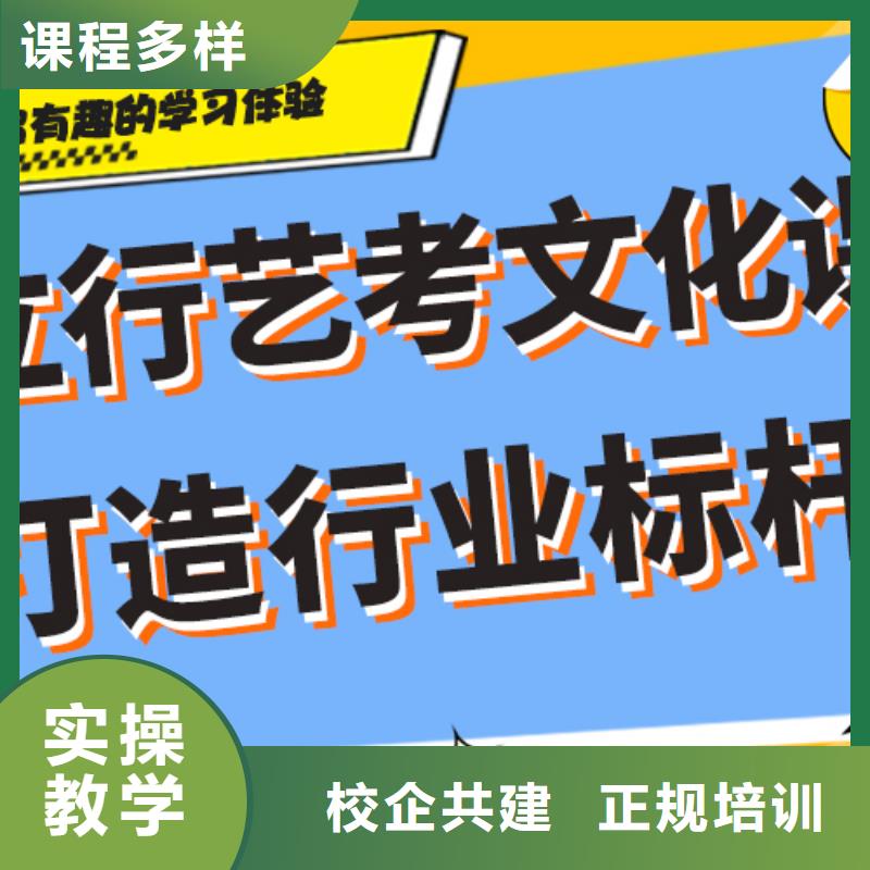 藝考生文化課高考輔導機構老師專業
