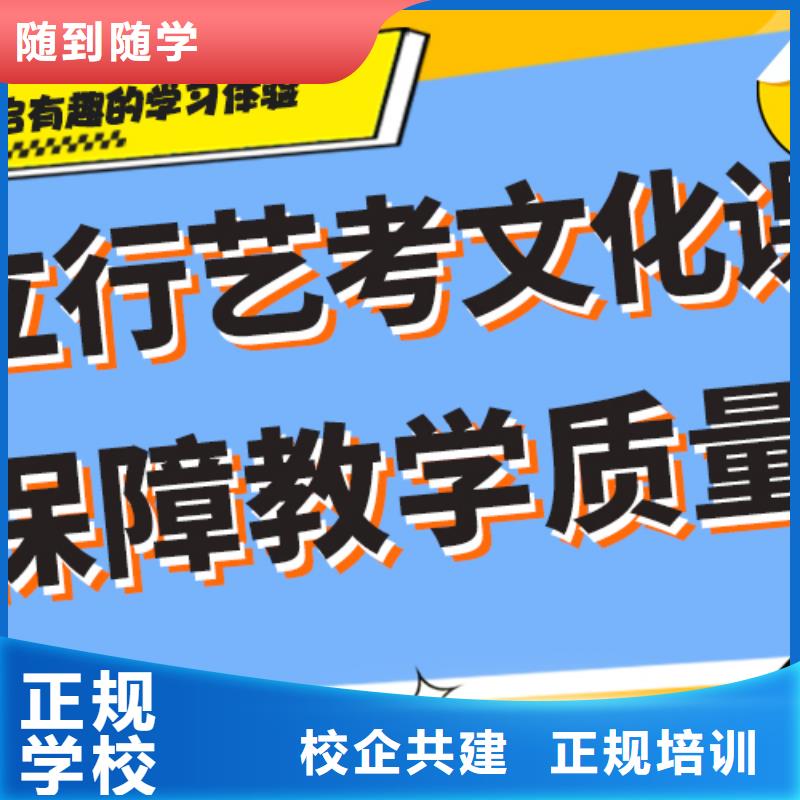 艺考生文化课高考冲刺班老师专业