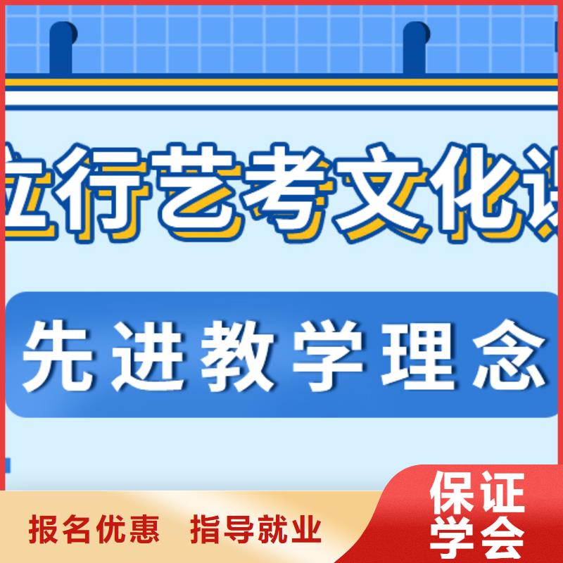 藝考生文化課藝術生文化補習理論+實操