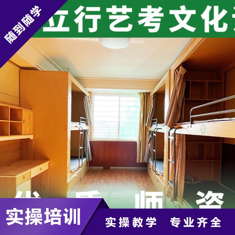 艺考生文化课高考冲刺班老师专业