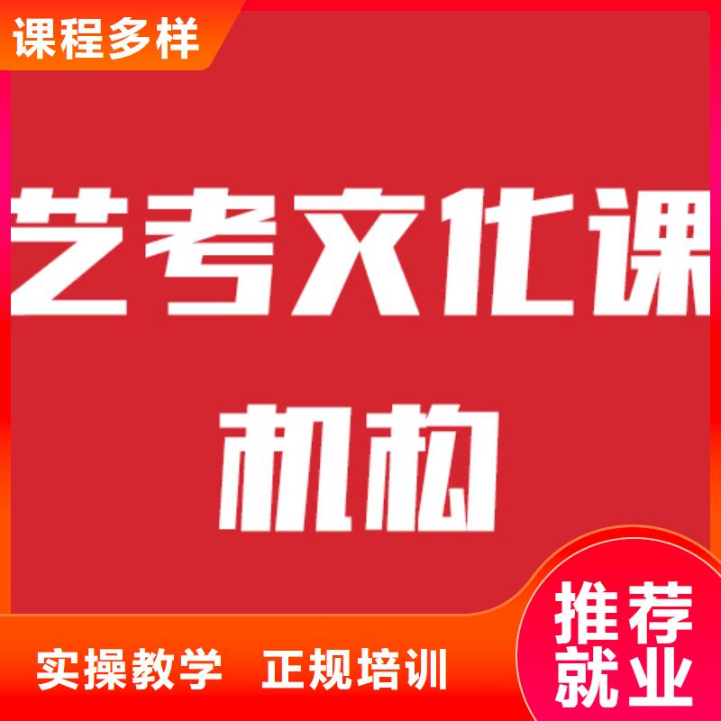 艺考生文化课实操教学本地品牌