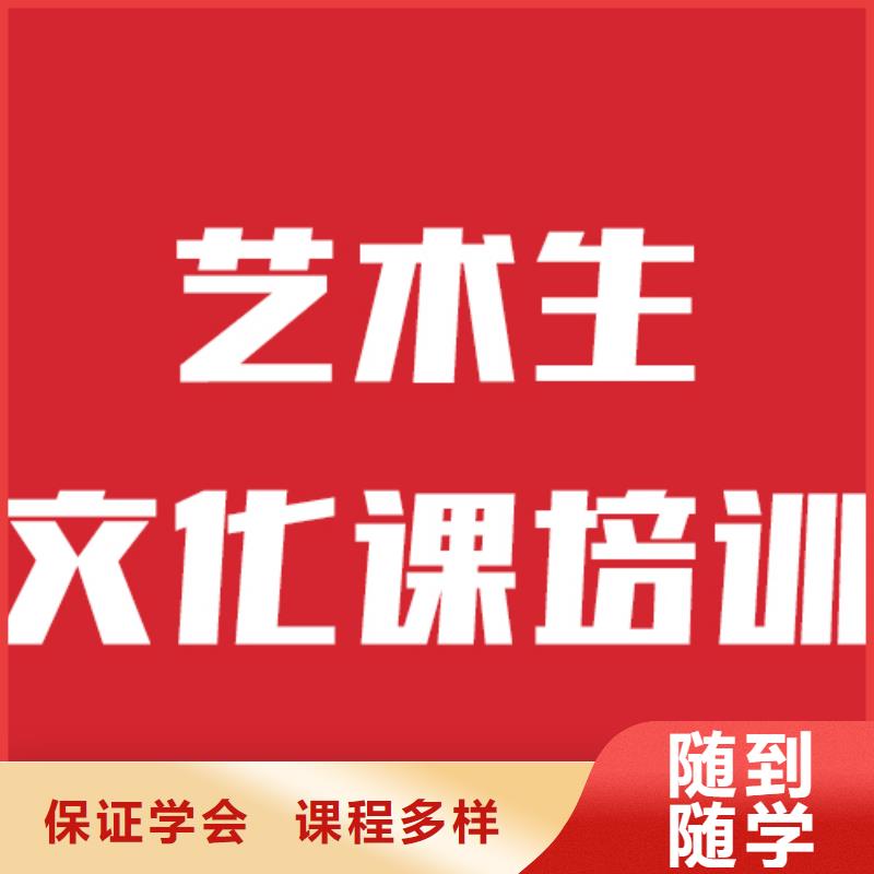 艺考生文化课高考冲刺班老师专业