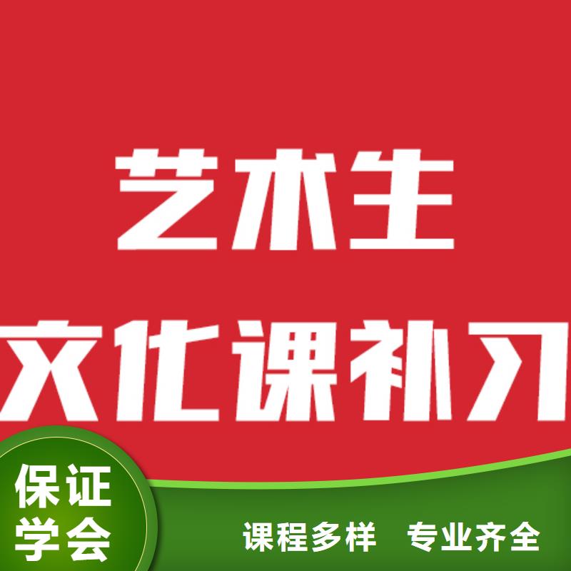 东宁|海林|绥化|佳木斯|黑河|大庆艺考生文化课实操教学理论+实操