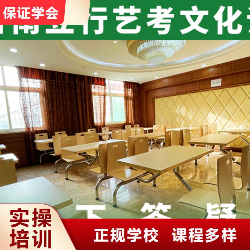艺考文化课补习【高考复读清北班】老师专业