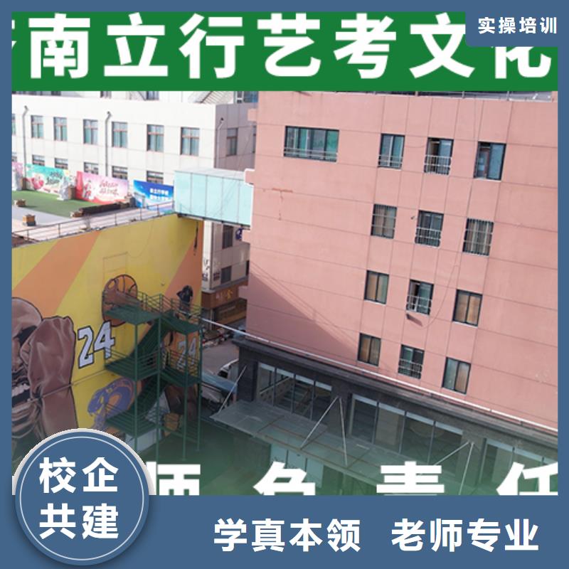 【艺考文化课补习高考辅导机构老师专业】