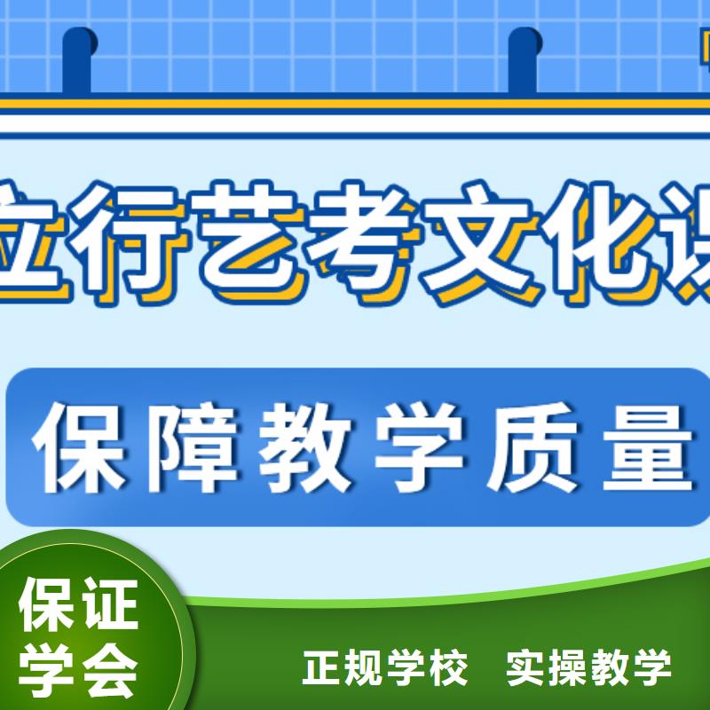 藝術生文化課藝考輔導機構理論+實操