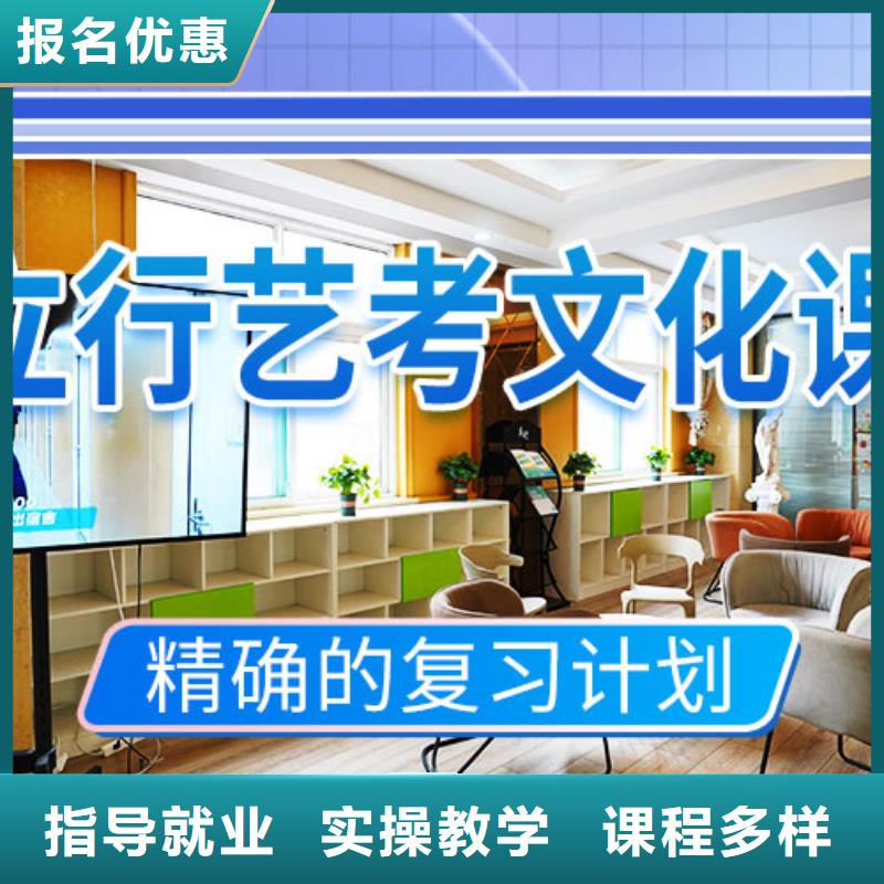 艺考文化课培训【艺考培训学校】学真技术