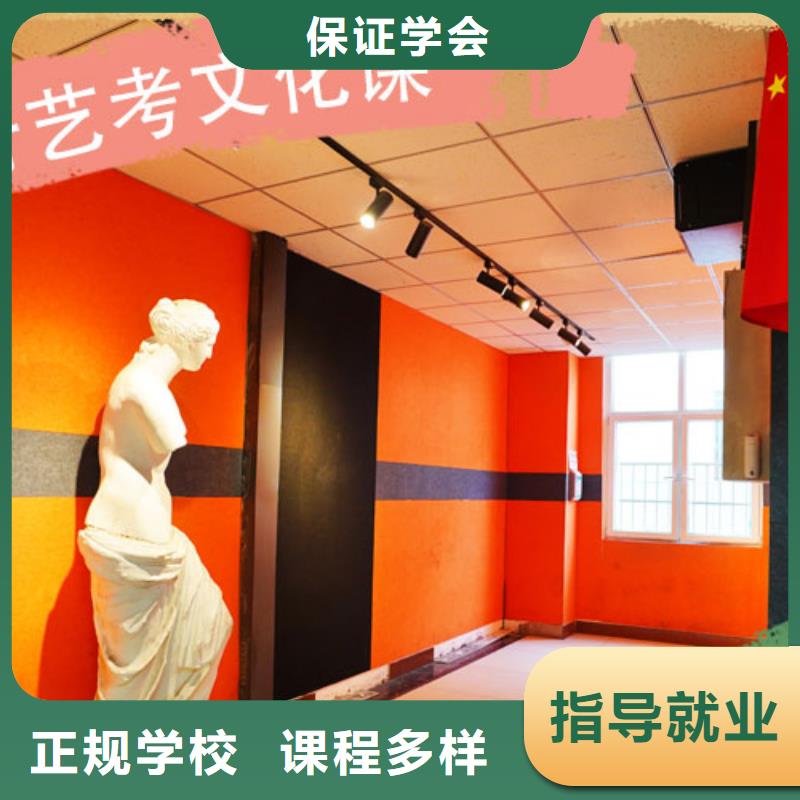 艺考生文化课艺考辅导课程多样