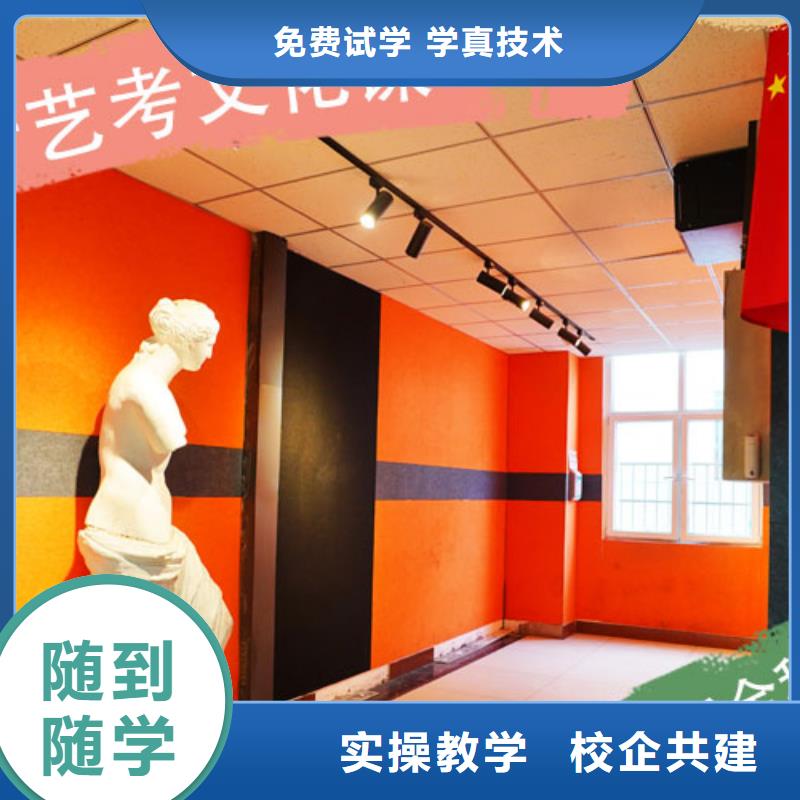 艺考文化课集训复读学校学真技术