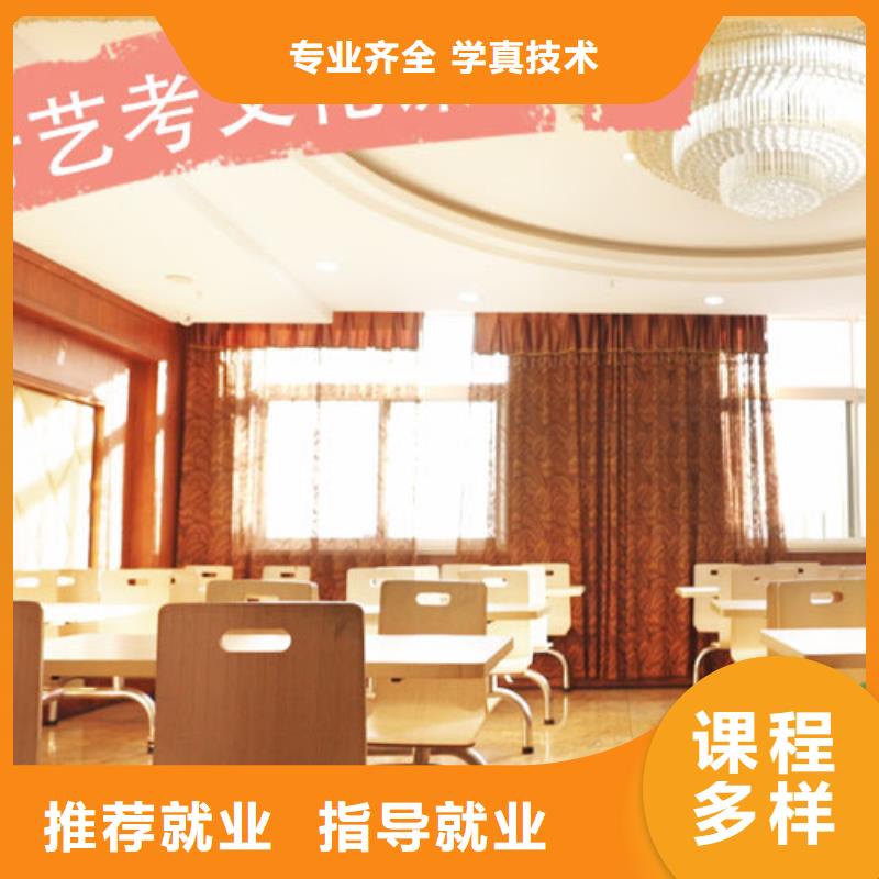 艺考文化课培训艺考一对一教学理论+实操