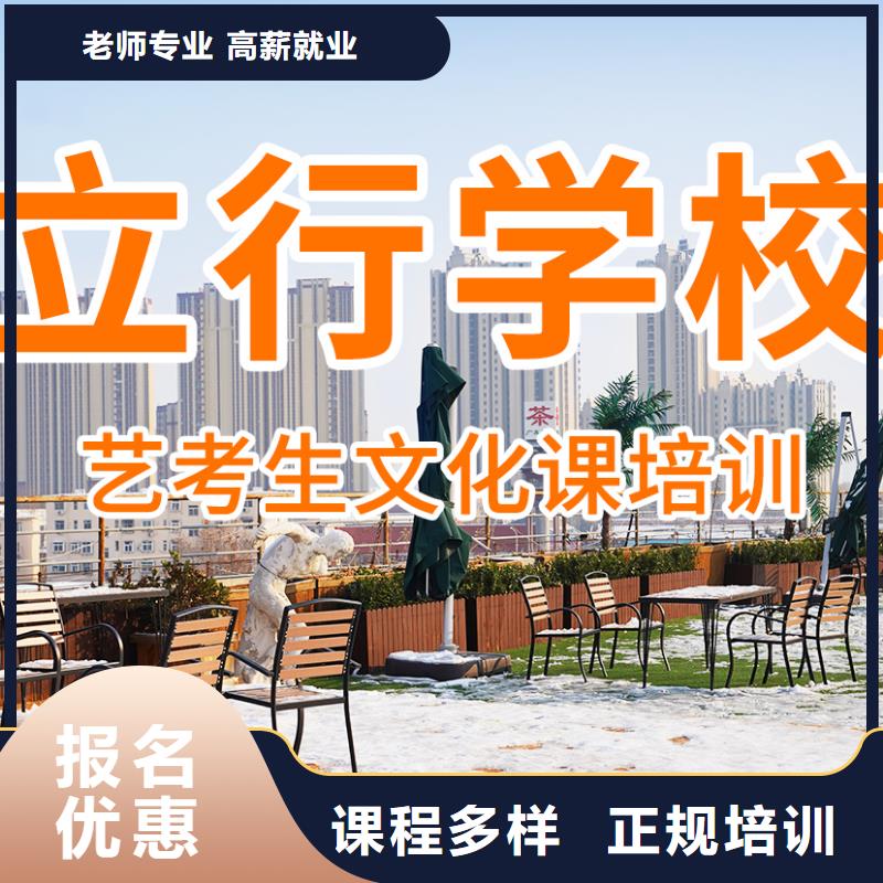 艺考文化课培训艺考一对一教学理论+实操