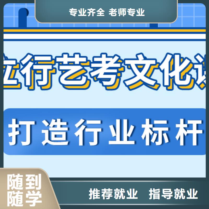 艺考文化课艺考生一对一补习师资力量强