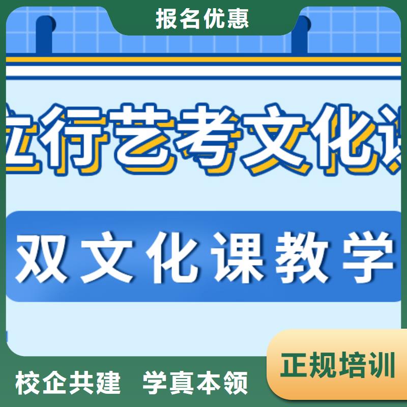 艺考文化课艺考生一对一补习师资力量强